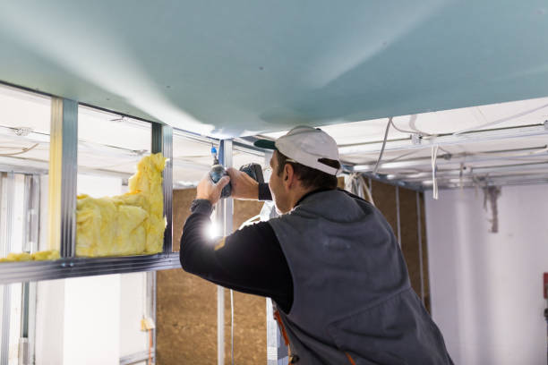 Best Wall Insulation Installation  in Golden Shores, AZ