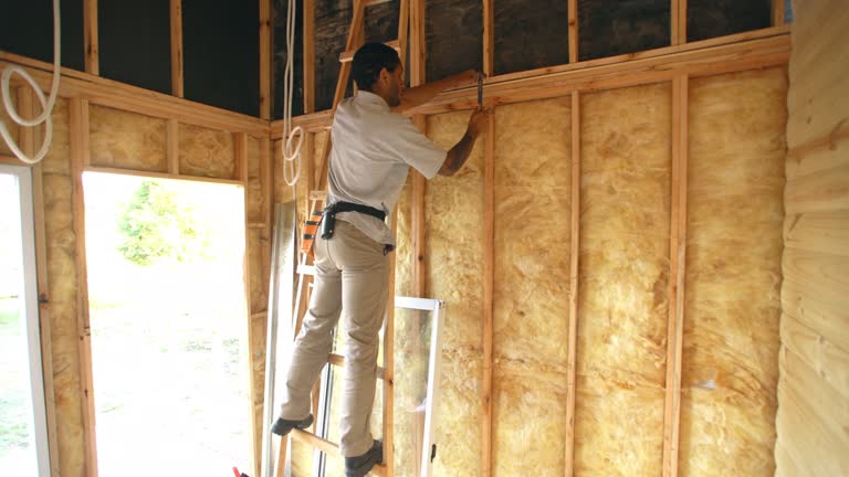 Best Soundproof Insulation  in Golden Shores, AZ