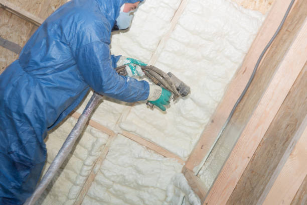 Best Insulation Air Sealing  in Golden Shores, AZ